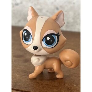 Littlest Pet Shop LPS Madame Pom LeBlanc‎ Pomeranian Puppy Dog #248